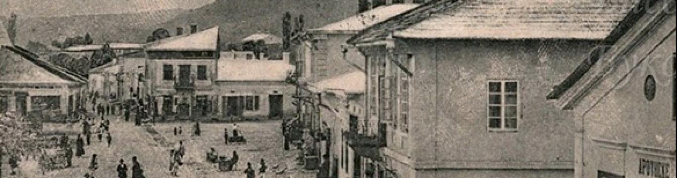 vizniz